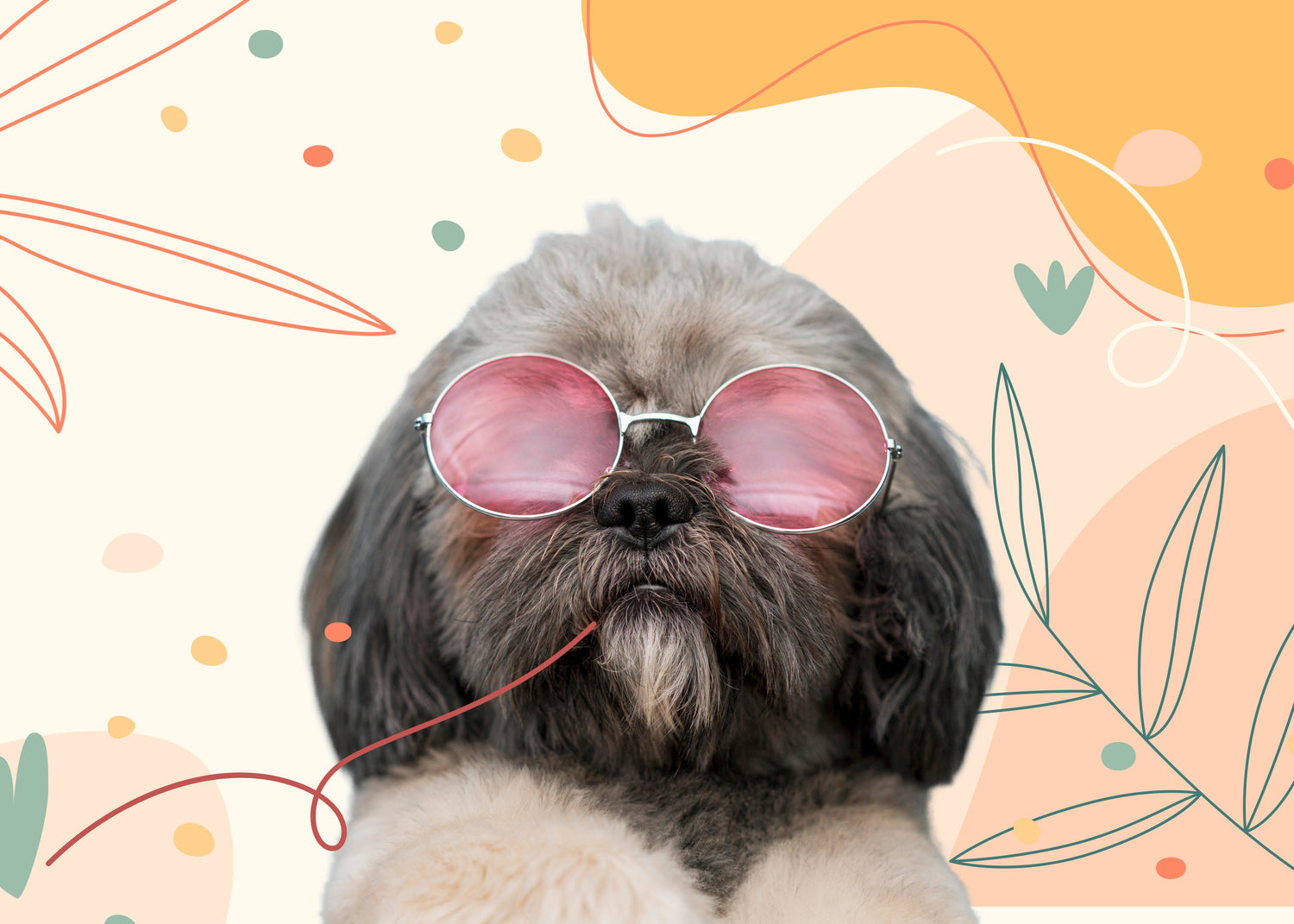 Retro Pet